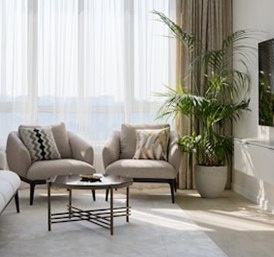 Poltronas claras com cortina e planta